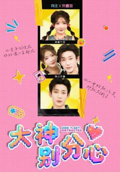 《大神别分心》