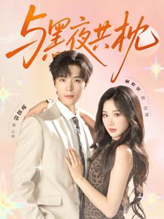 《与黑夜共枕》