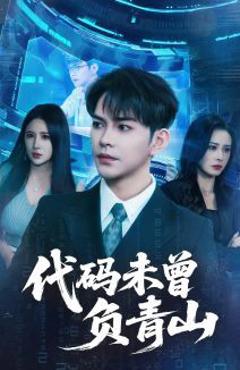 《代码未曾负青山》