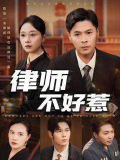 《律师不好惹》