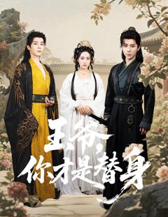 《王爷你才是替身》