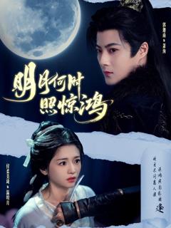 明月何时照惊鸿