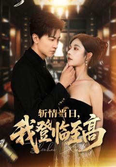 《斩情当日我登临至高》