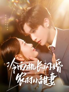 冷面机长闪婚农村小甜妻