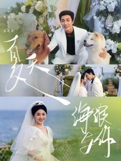 《夏天海浪与你》