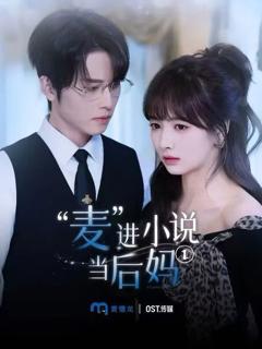 《麦进小说当后妈》