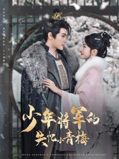 《少年将军的失忆小青梅》