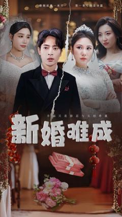 《新婚难成》