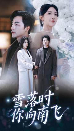 《雪落时你向南飞》