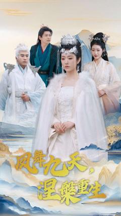 《凤舞九天涅槃重生》