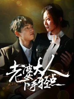 《老婆大人下手轻点》