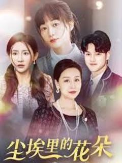 港圈大佬把我宠上天(尘埃里的花朵)