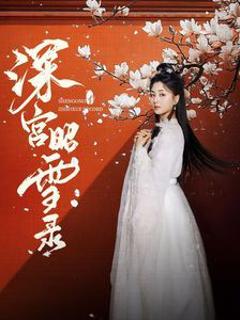深宫昭雪录