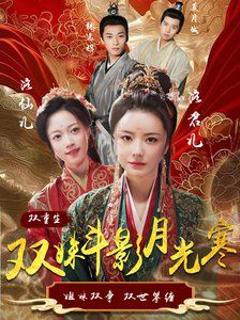 双姝斗影月光寒