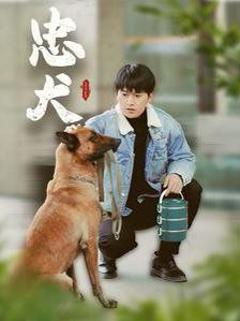 《忠犬》