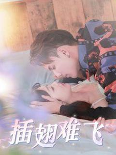《插翅难飞》