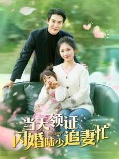 当天领证闪婚陆少追妻忙