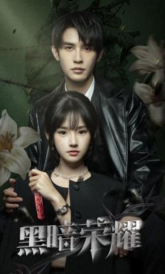 《黑暗荣耀》