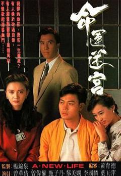 《命运迷宫粤语版》