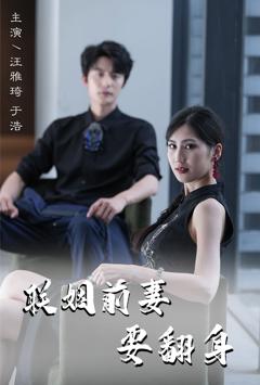 联姻前妻要翻身