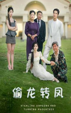《偷龙转凤》