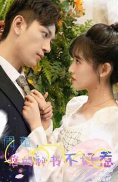 周董，你的秘书不好惹