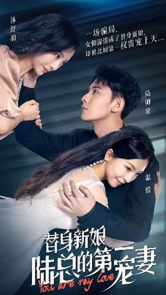 《替身新娘：陆总的第一宠妻》
