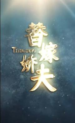 《替嫁娇夫》