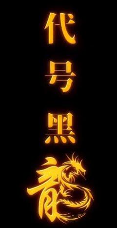 《代号黑龙》