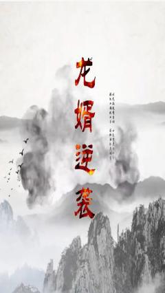 《龙婿逆袭》