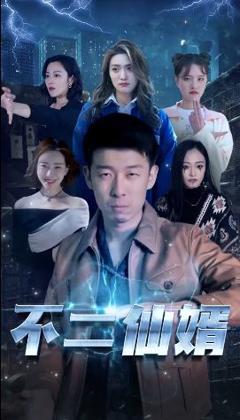 《不二仙婿》