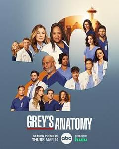 实习医生格蕾 第二十季