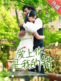 爱上你是我的错
