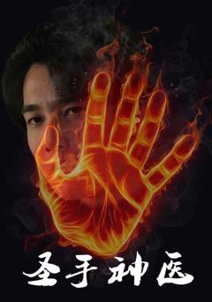 《圣手神医》