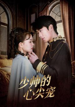 少帅的心尖宠