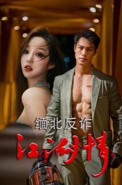 缅北反诈江湖情