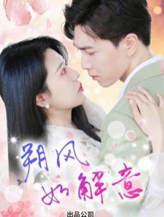 《朔风有解意》