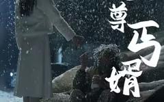 《至尊丐婿》
