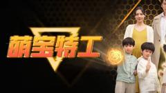 《萌宝特工》