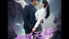《傅总的天降太子妃》
