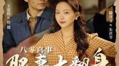 《八零喜事之肥妻大翻身（八零喜事：肥妻大翻身）》