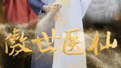 《新：傲世医仙》