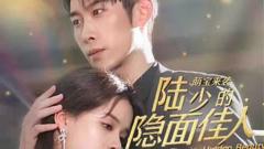 《萌宝来袭：陆少的隐面佳人》