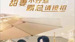 《甜妻不好惹，霸总请接招》