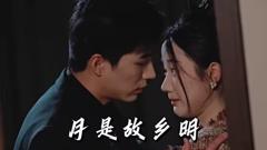 《月是故乡明》