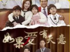《如果爱有天意》