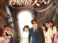 《陆总住手吧，你虐错夫人了》