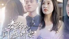 《秦爷的闪婚娇妻》