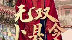 《无双小县令》
