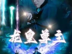 《龙皇尊主》